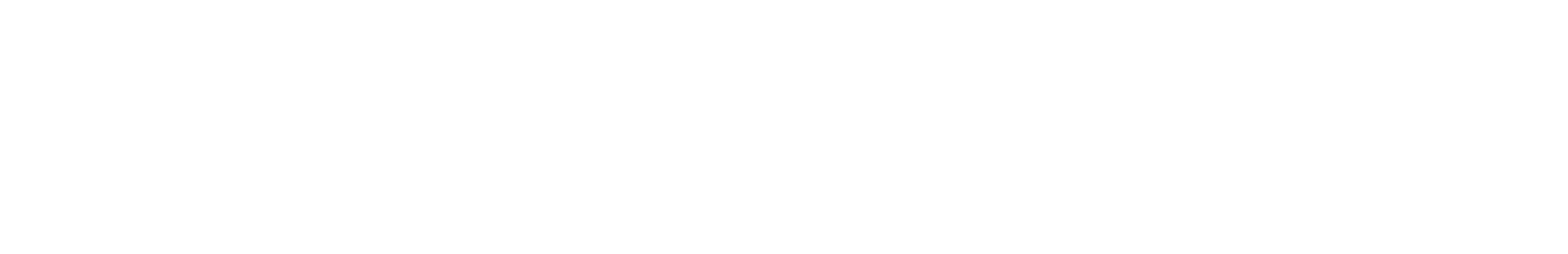 Solutions Group